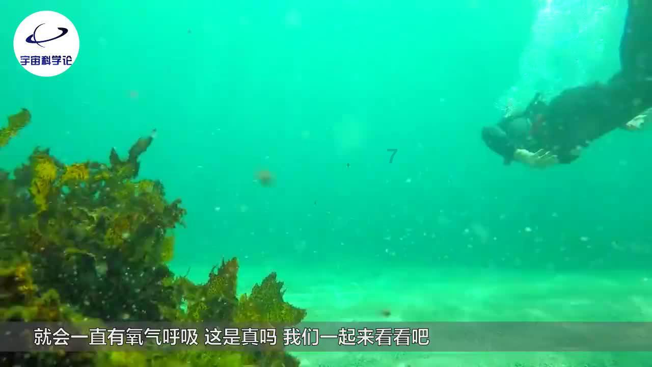 创作猫