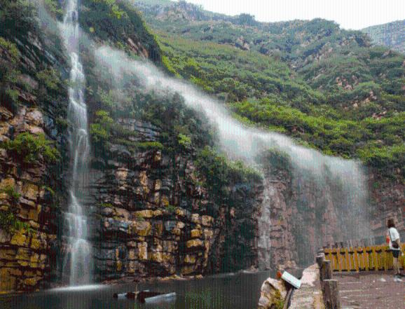 春雨直播app